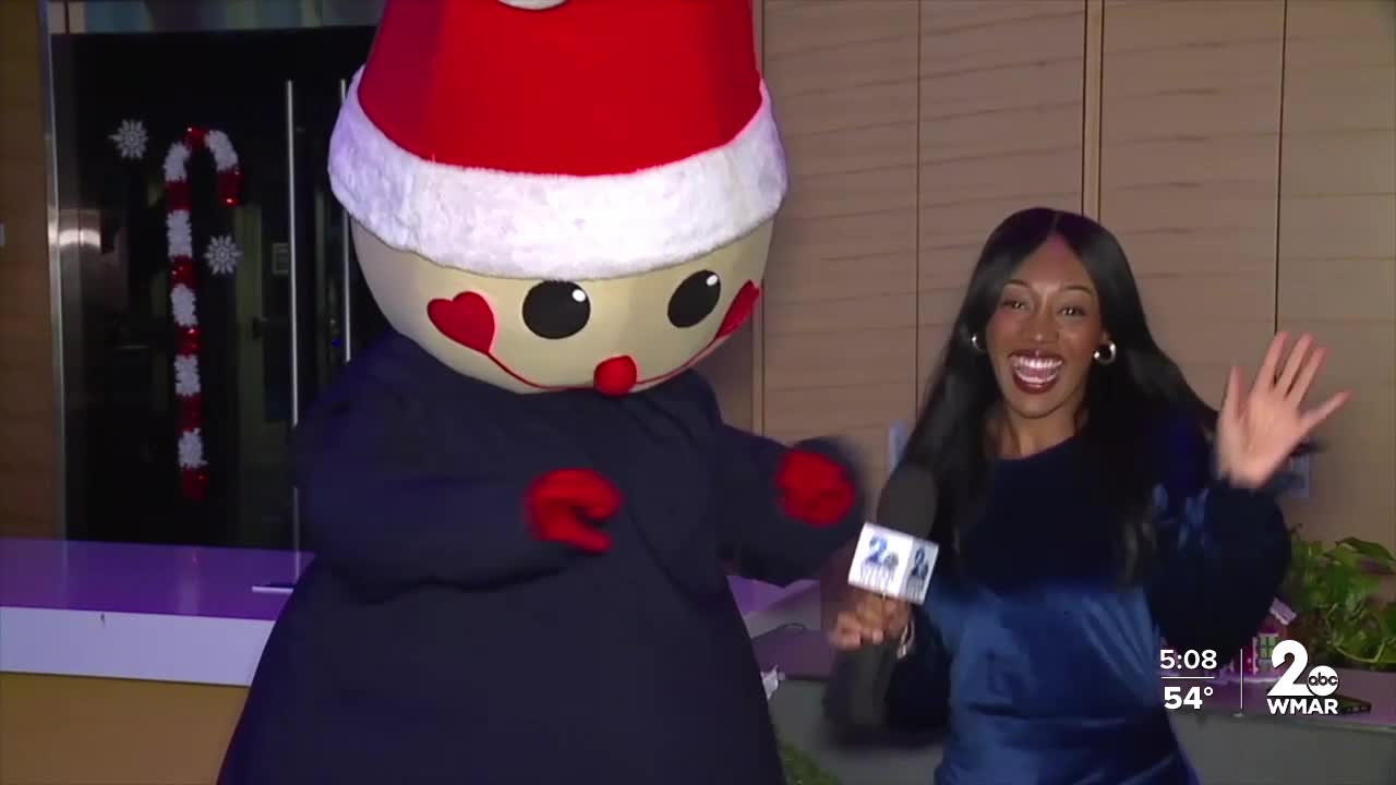 Kara Christmas Village 2025.jpg