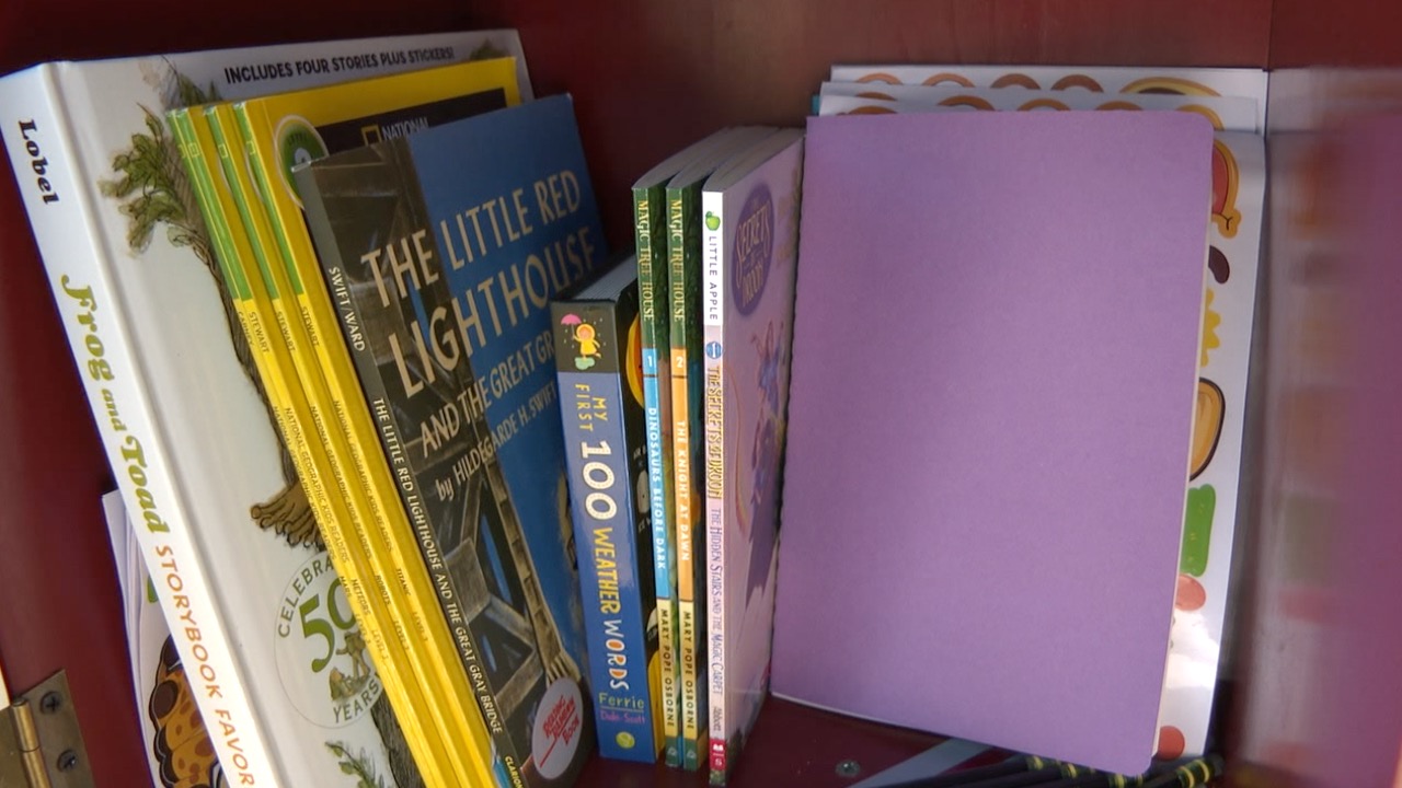 Books in the Little Free Library at the St Marks fire hall