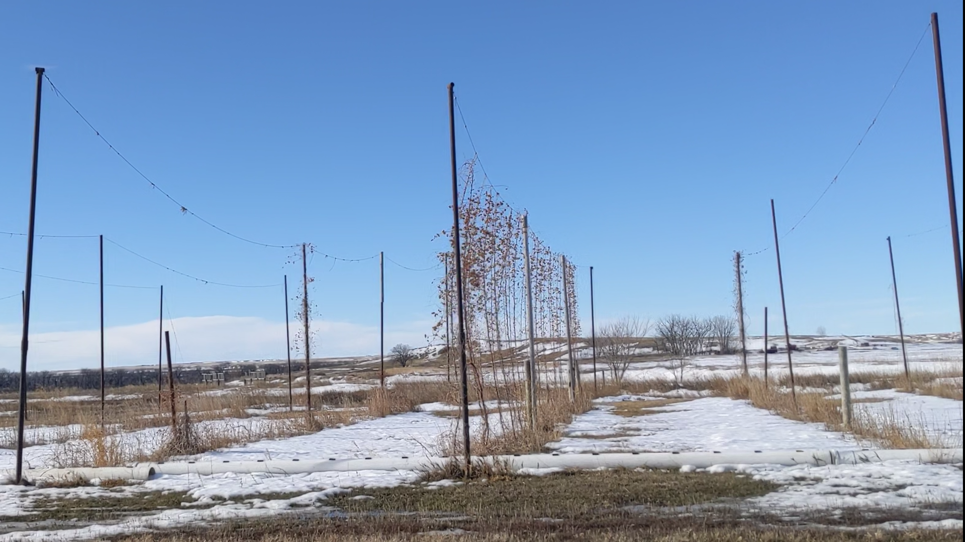 Sidney hop farm, winter