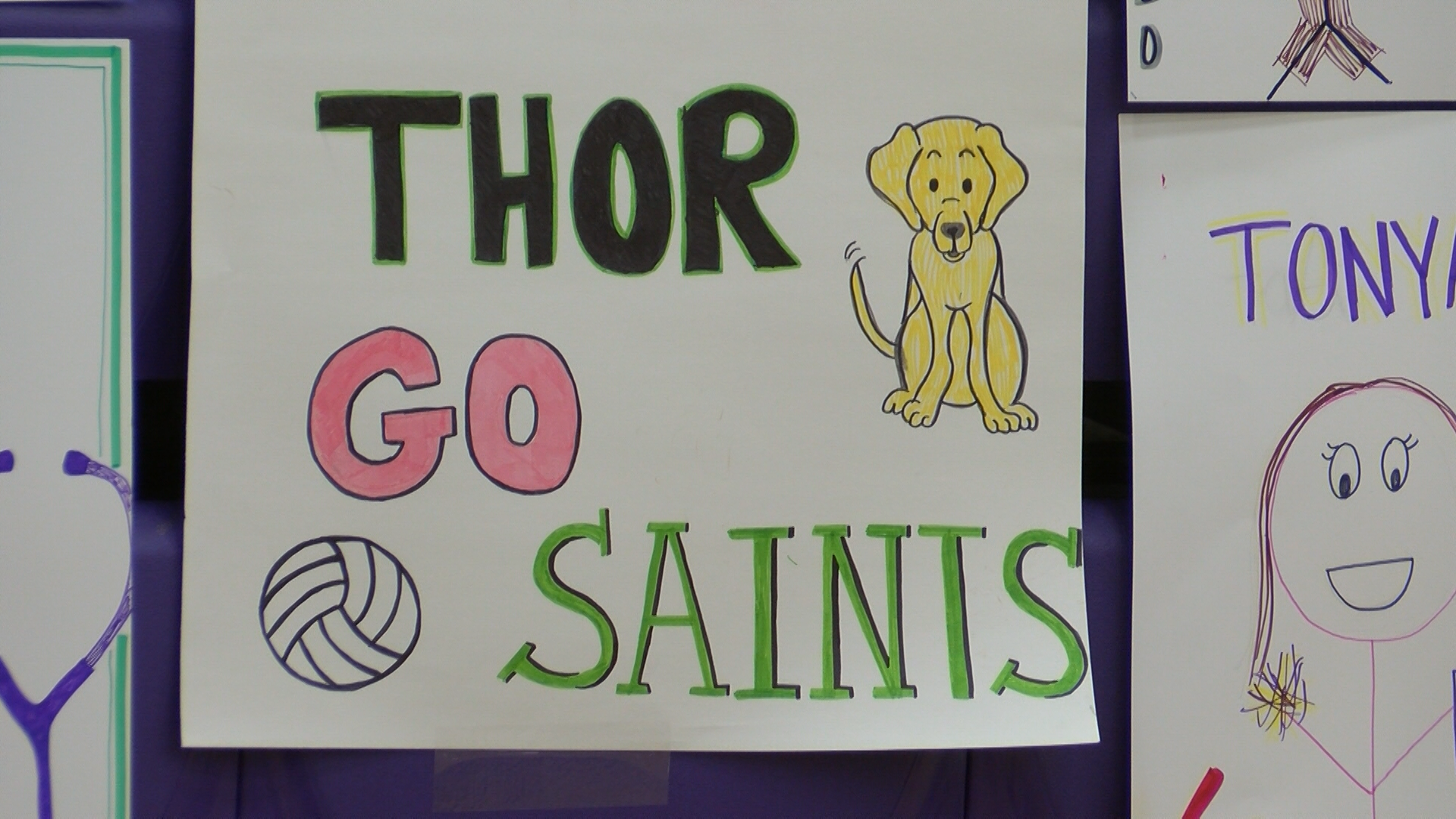 Carroll Volleyball showcases heartfelt, 2-D fans for Frontier Season