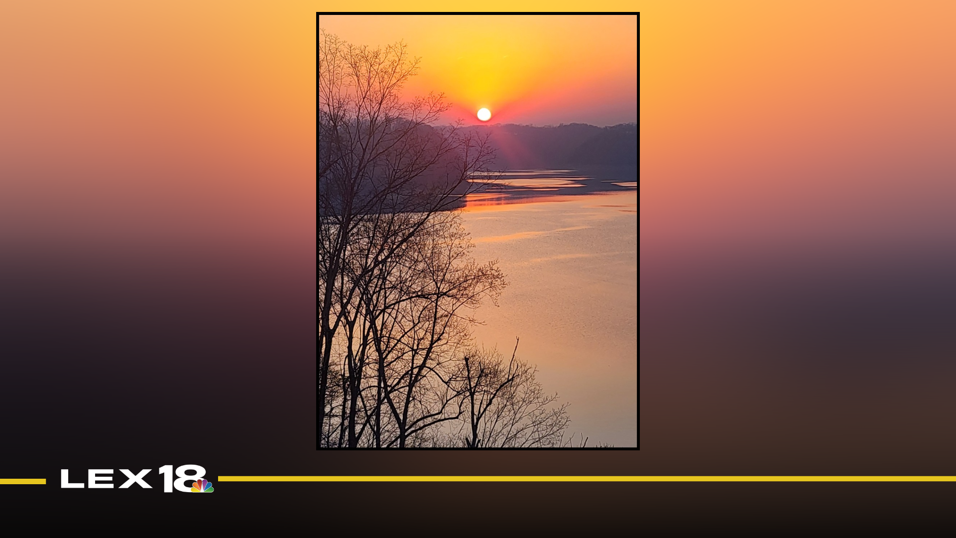 Mug Shot of the Week: Sherrie Emerson