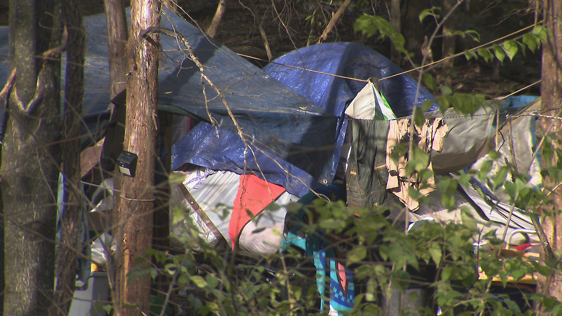 City officials expect Brookmeade homeless encampment to be closed by January 