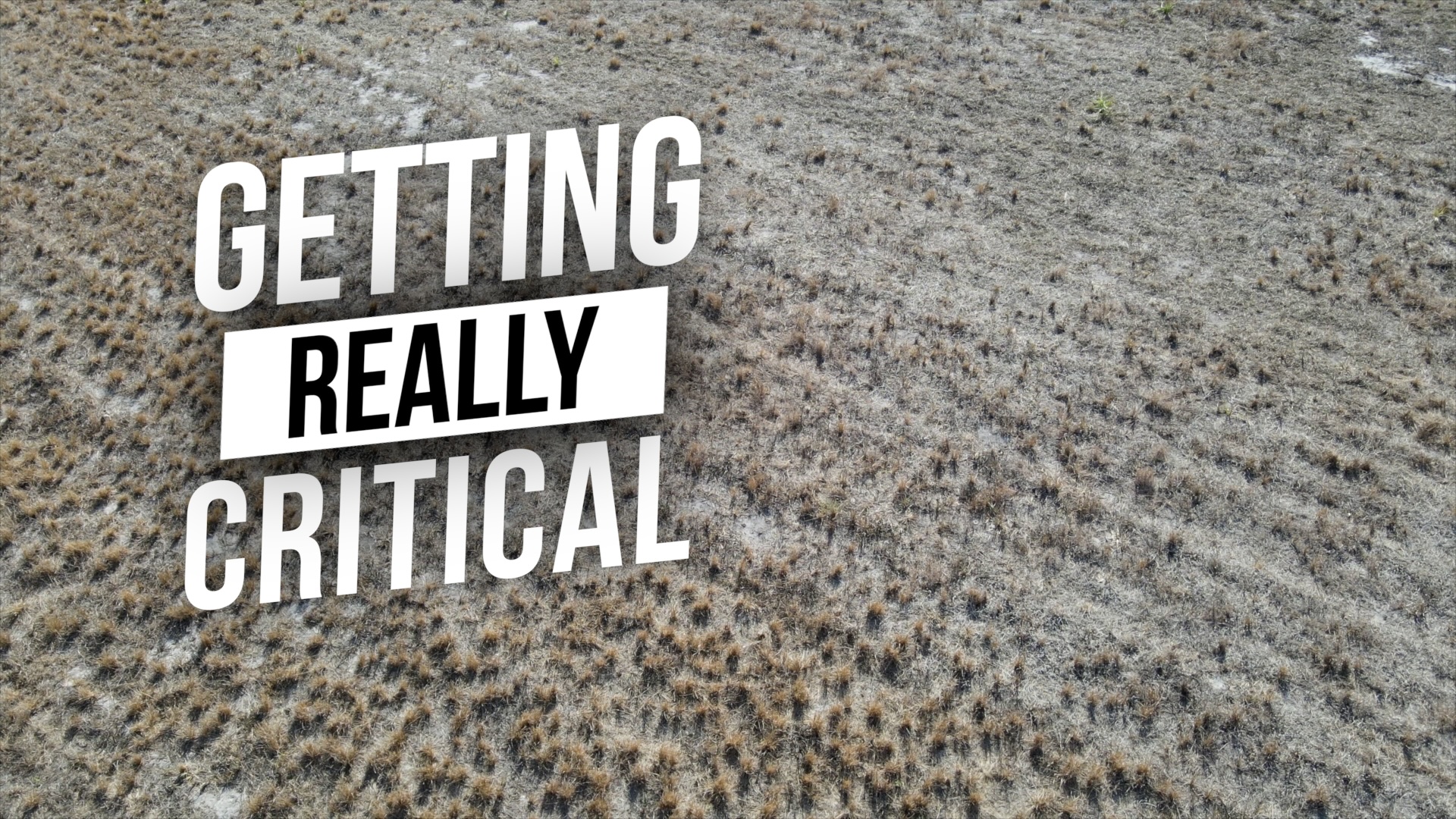 "Getting Really Critical" 