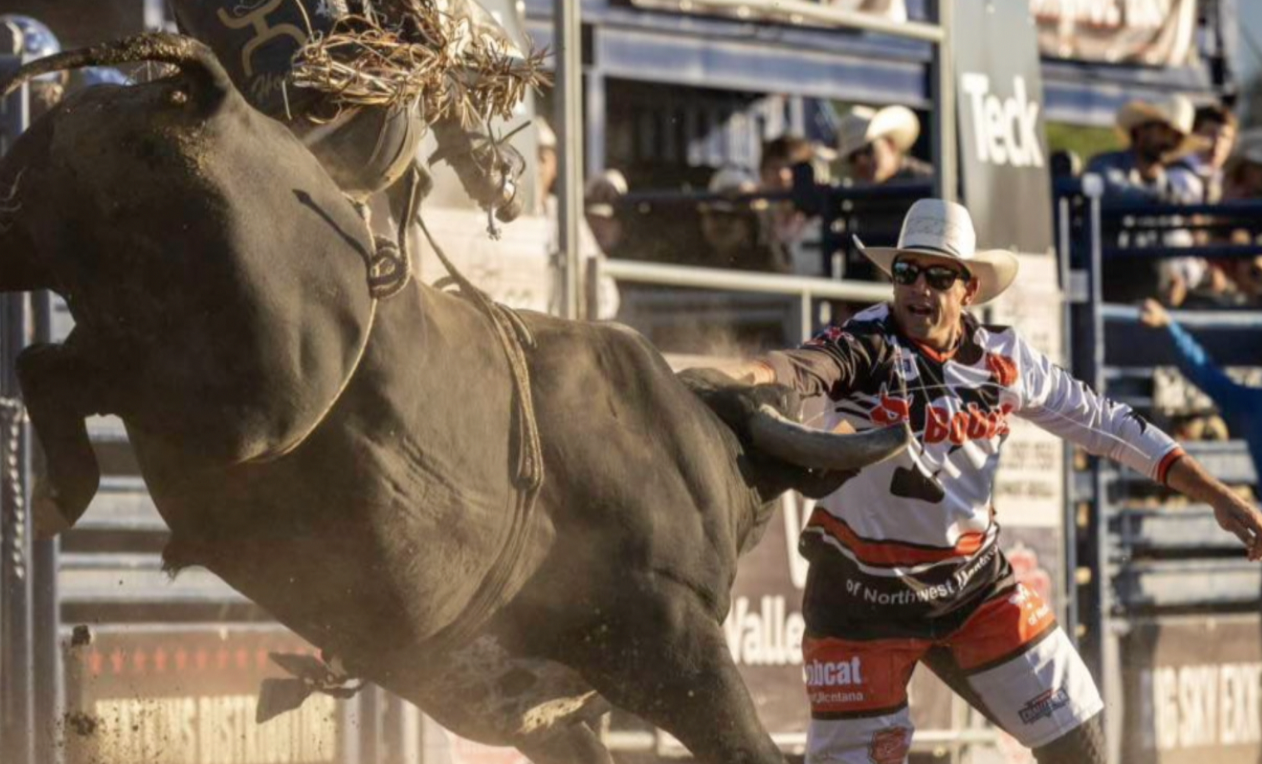 Sylvan La Cross Bull Fighting