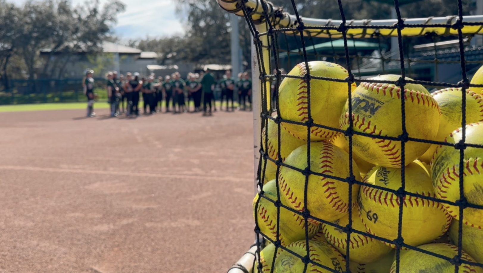 USF Softball 1.png