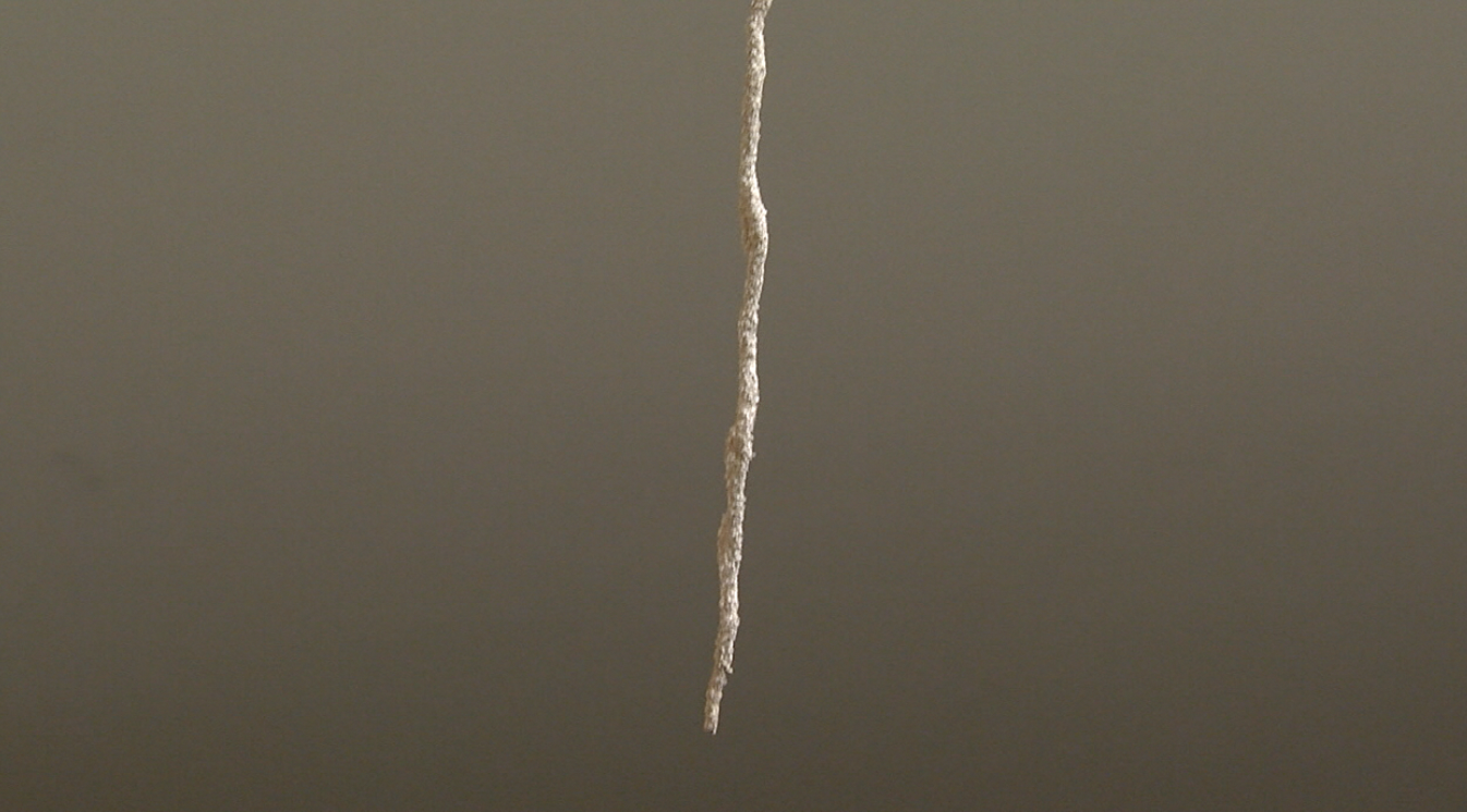 termites drop tube