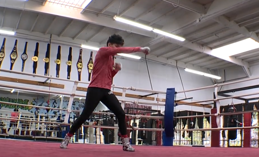 CV Boxer Olympics.png