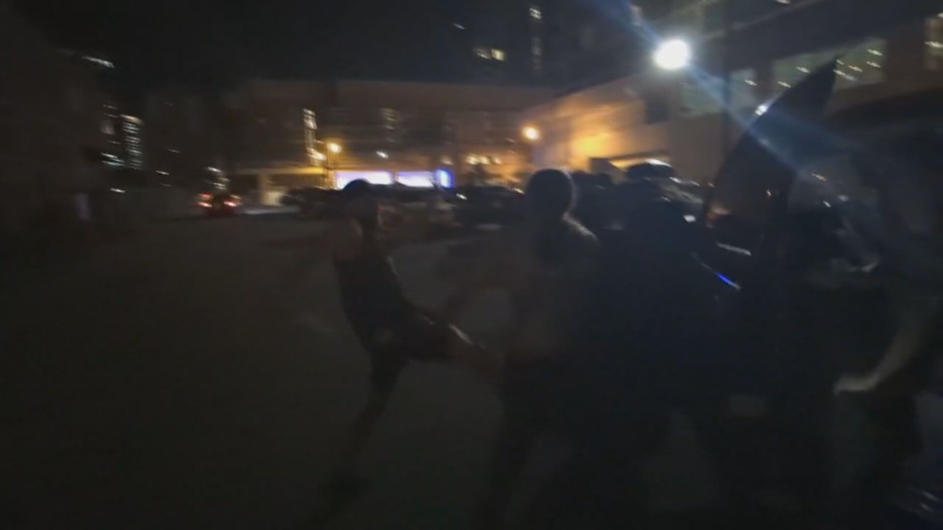 Neo-Nazi Assault.jpeg