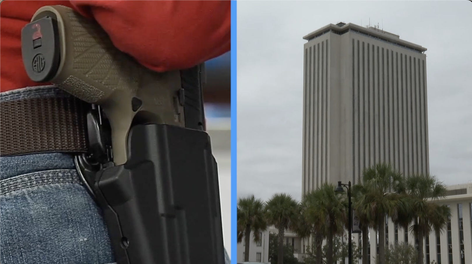 Leon County directs hired lobbyists to push for gun reform laws during next legislative session 