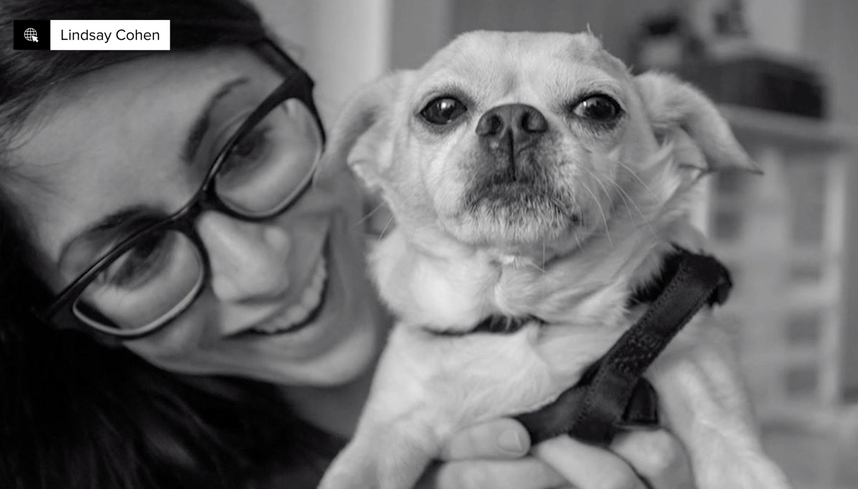 dog grief