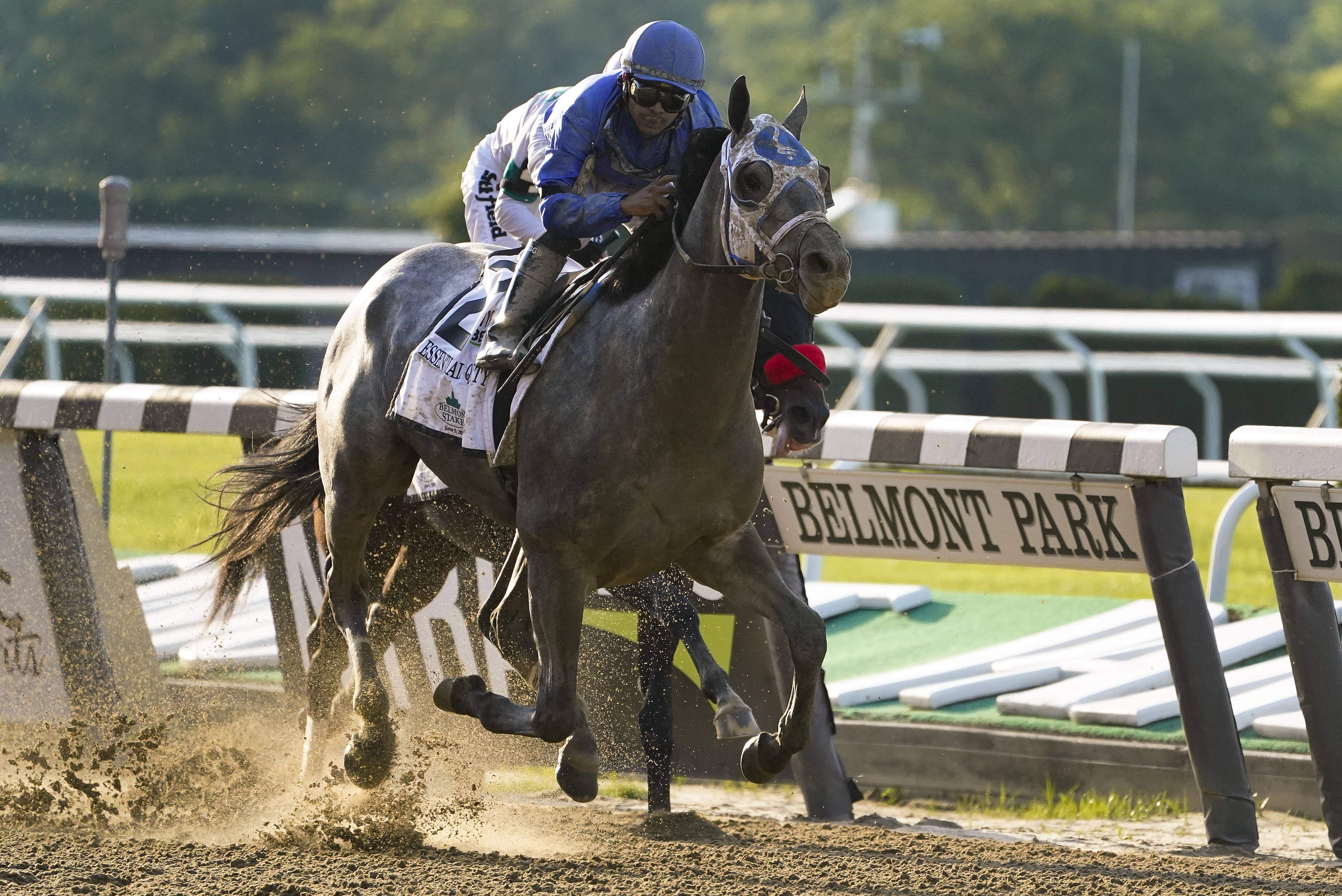 APTOPIX Belmont Stakes Horse Racing