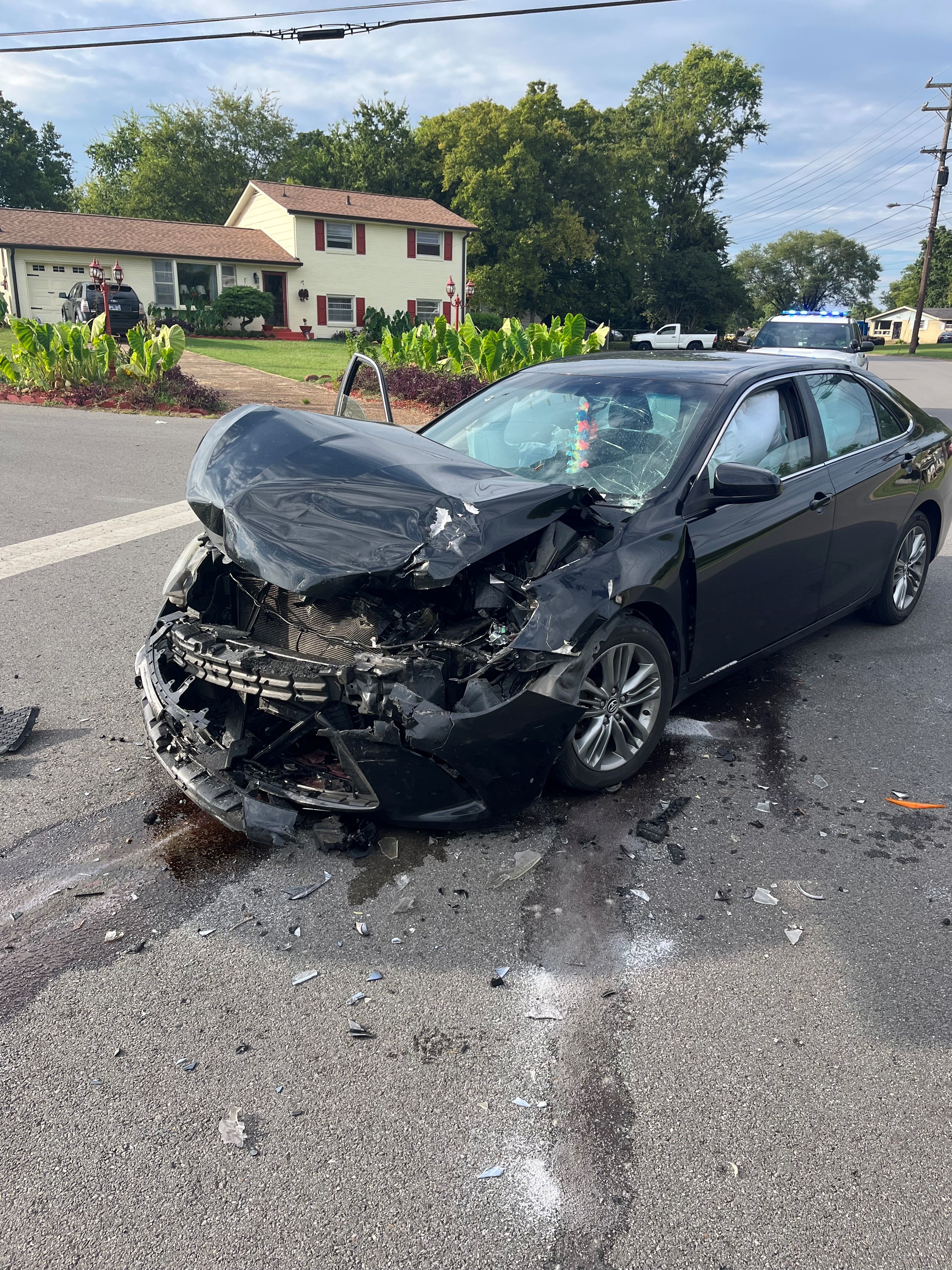 hit-and-run victim