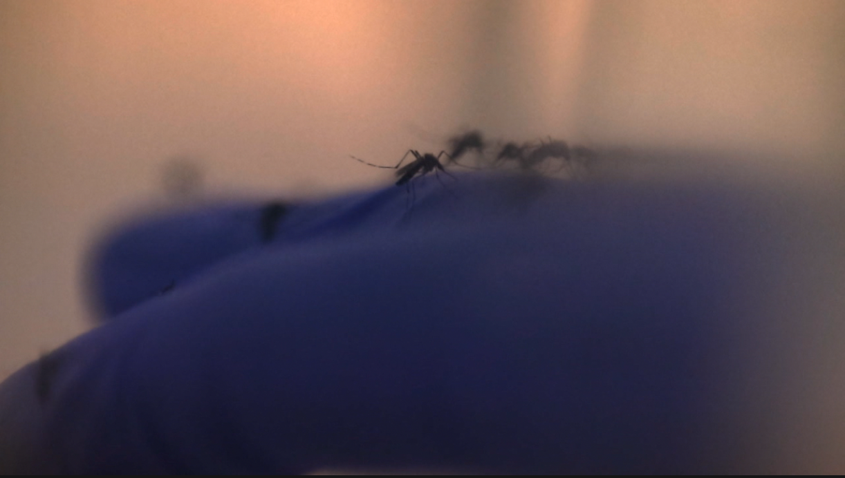 Screenshot 2024-03-08 at 12.31.03 PM.png