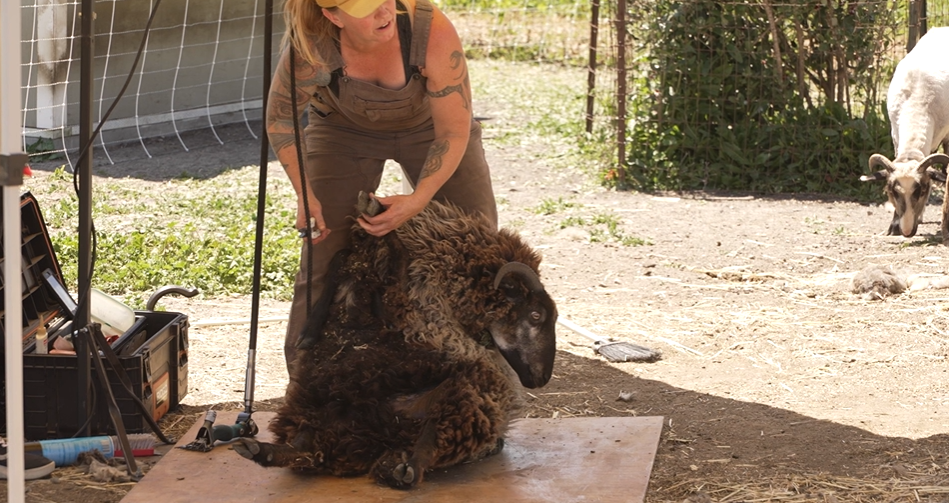 Screenshot 2025-05-10 174539.png