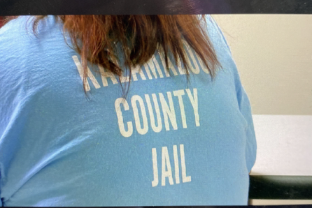 Kalamazoo County Jail inmate