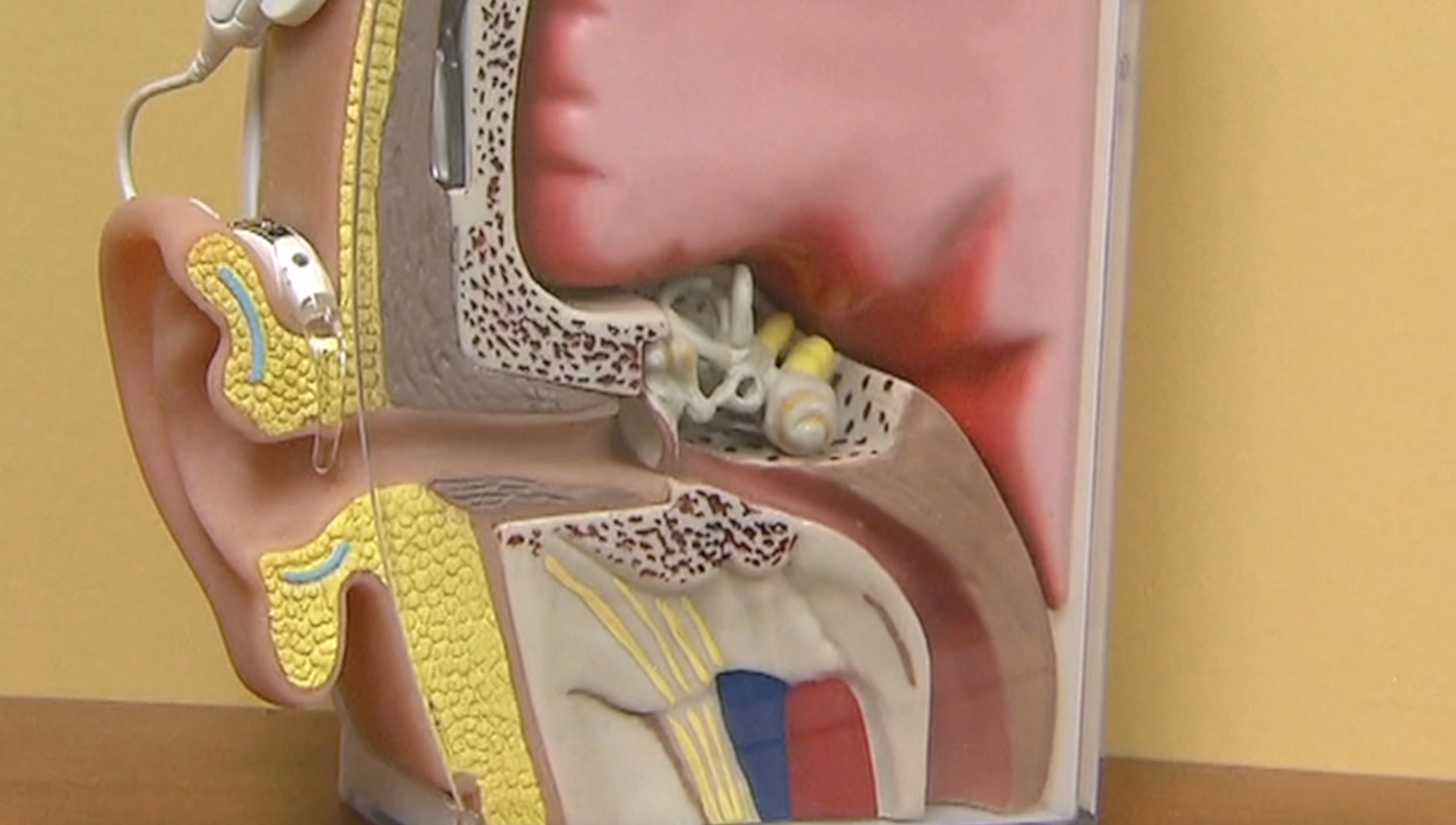 Twin Falls clinic offers comprehensive hearing services during awareness month