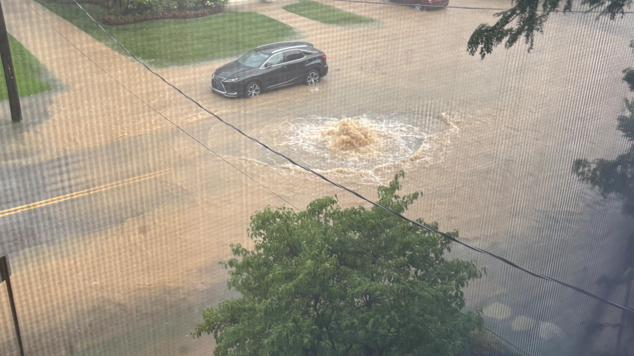 'You feel hopeless' | Hyde Park residents blame sewer main failure for flooding, costly home damage