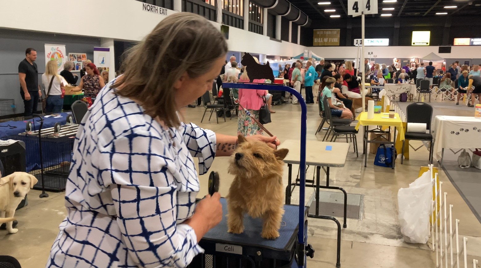 The annual Jupiter Tequesta Dog Club’s show, Paw Prints in the Sand, at the South Florida Fair Expo. July 16, 2023