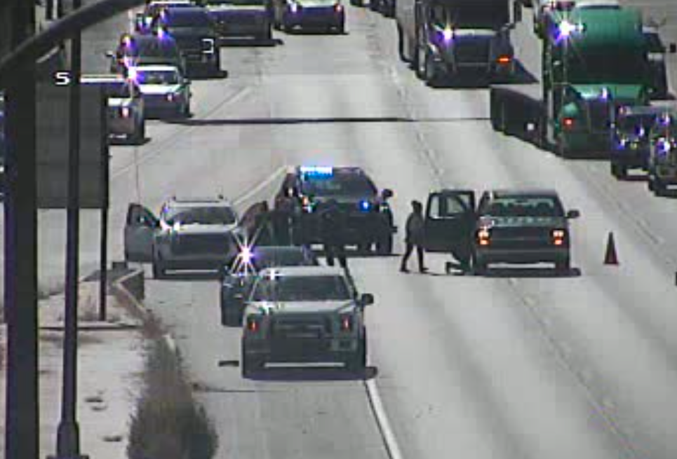 Bear struck on I-25