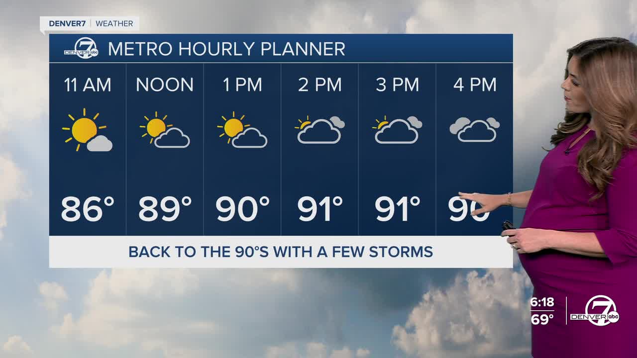 Denver's Hourly Planner for Friday
