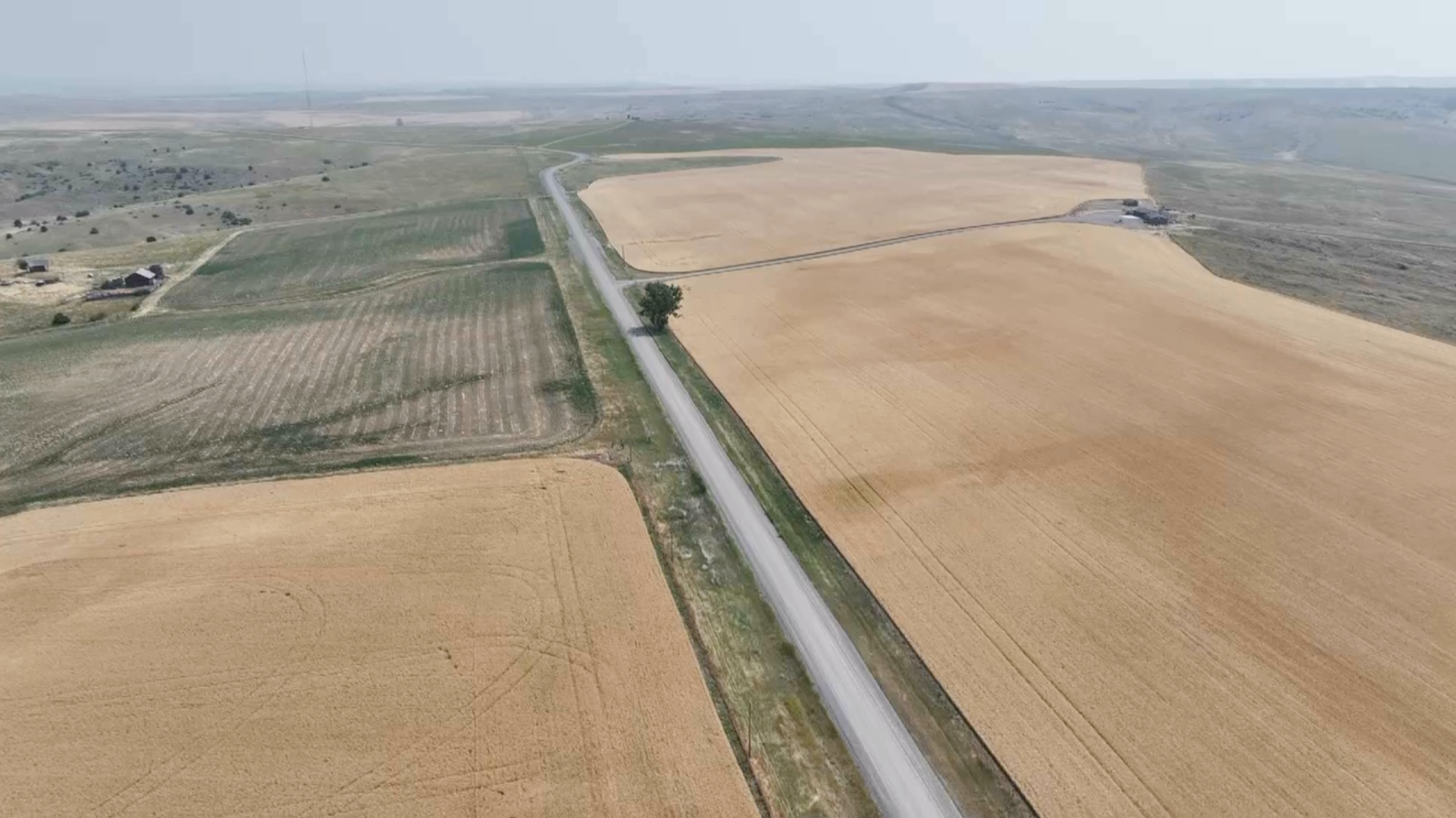 Screenshot 2024-07-23 at 9.58.07 PM.png