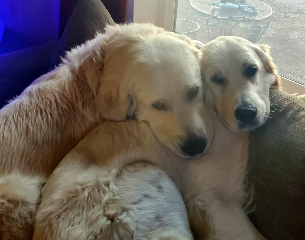 Norman and Ethel