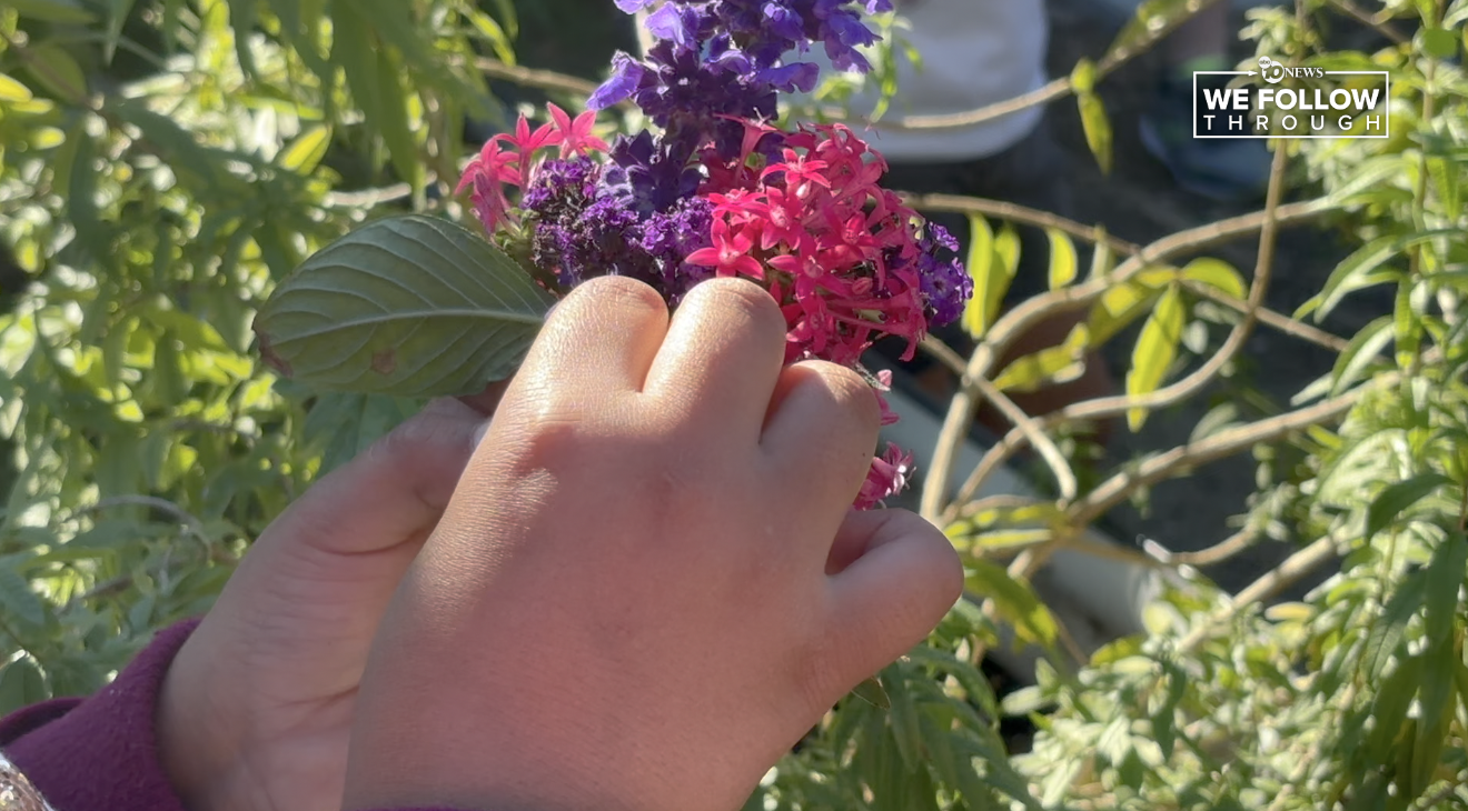 A student gardener puts together a bouquet of flowers from her school garden. 