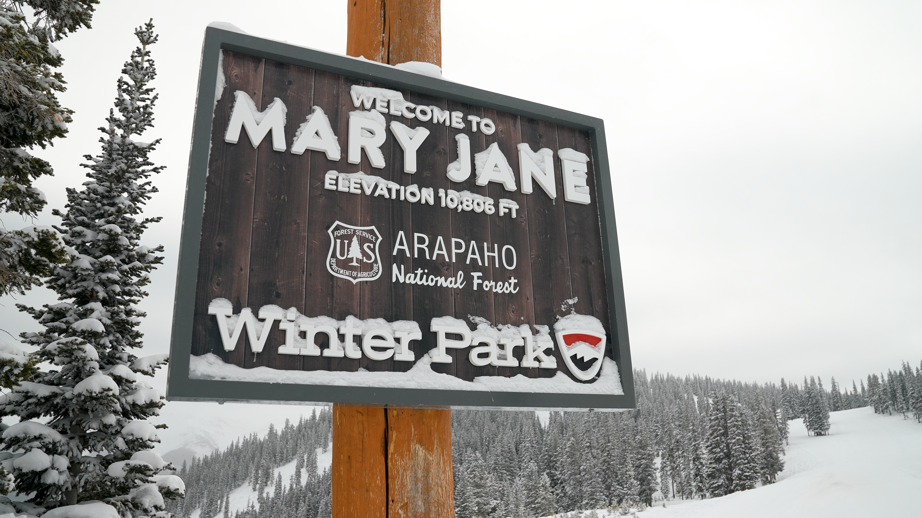 mary jane sign.png