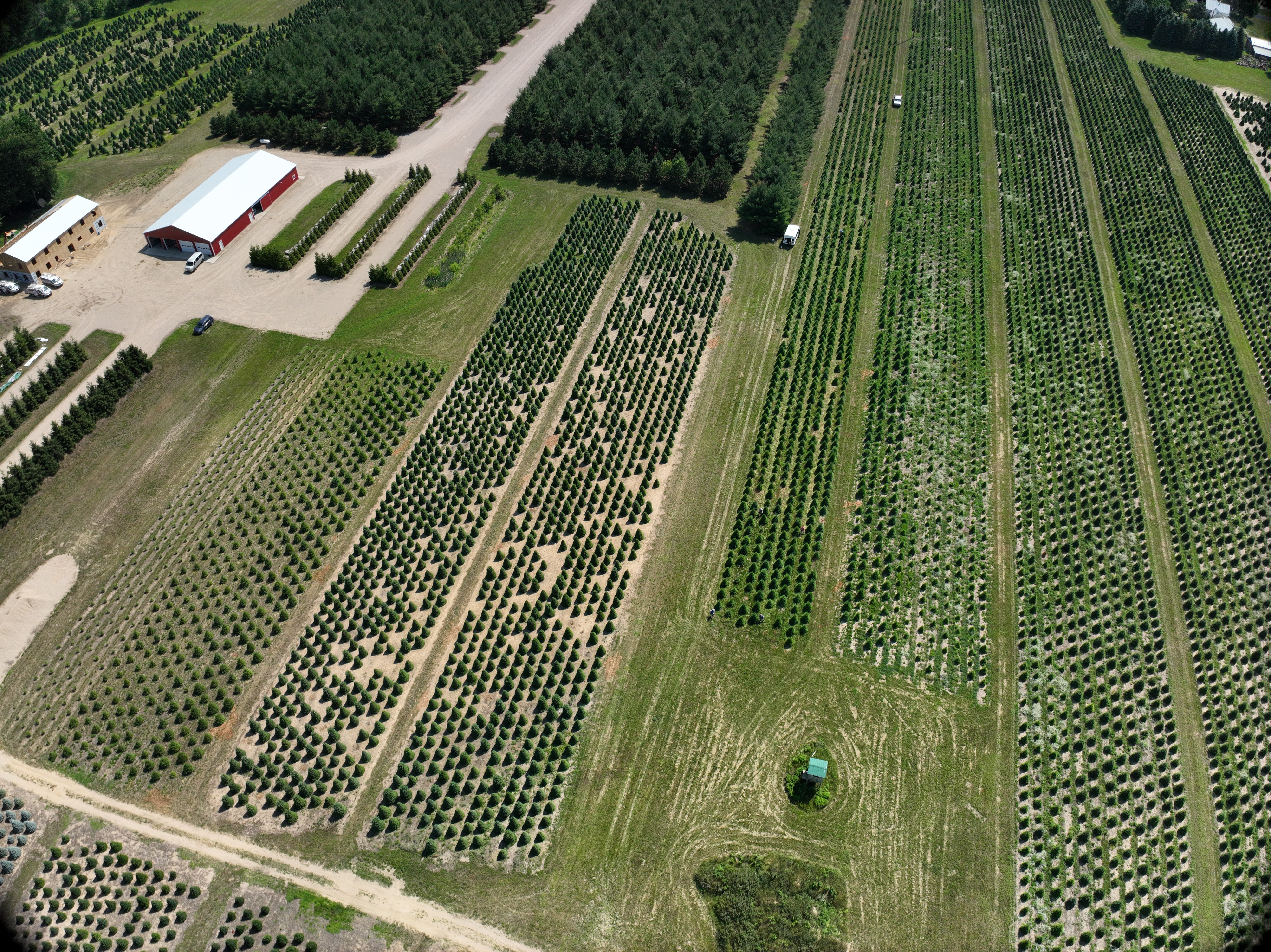 Field shot of Korson's