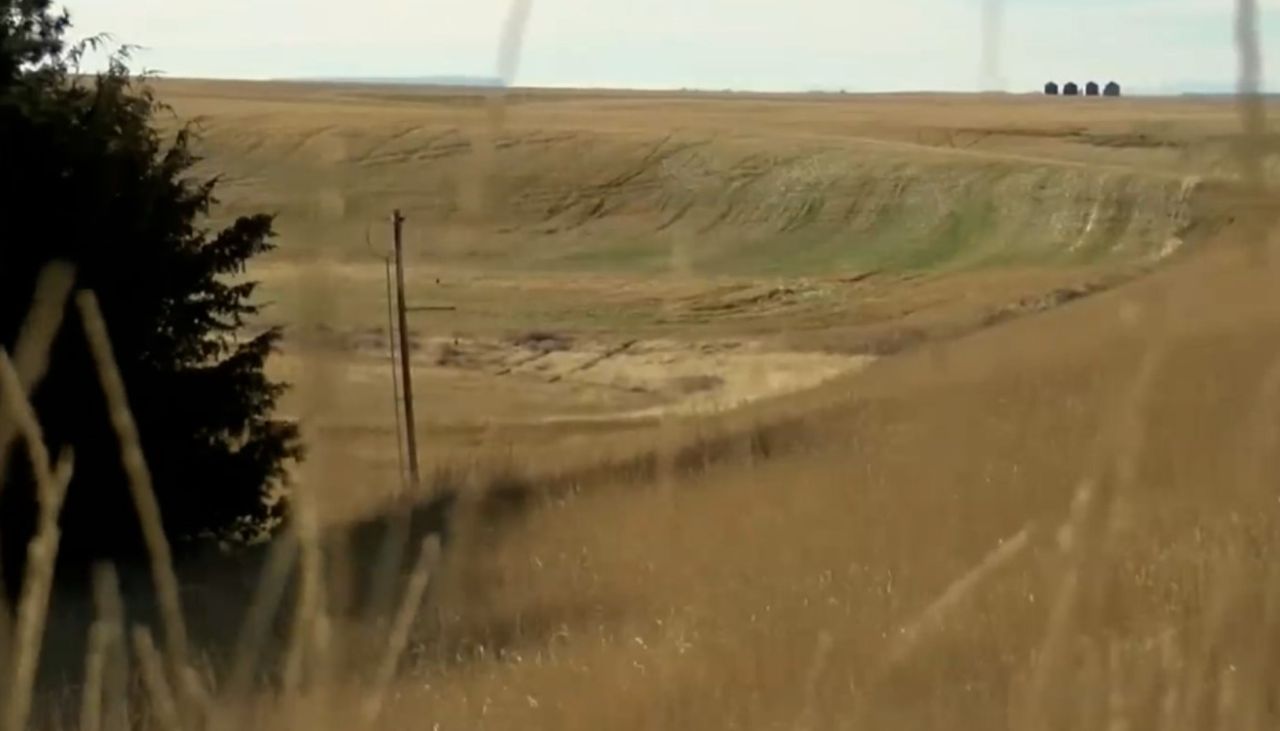 field.jpg