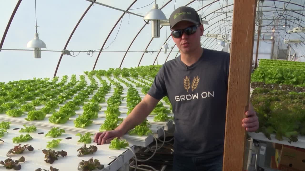 High Horizon Gardens