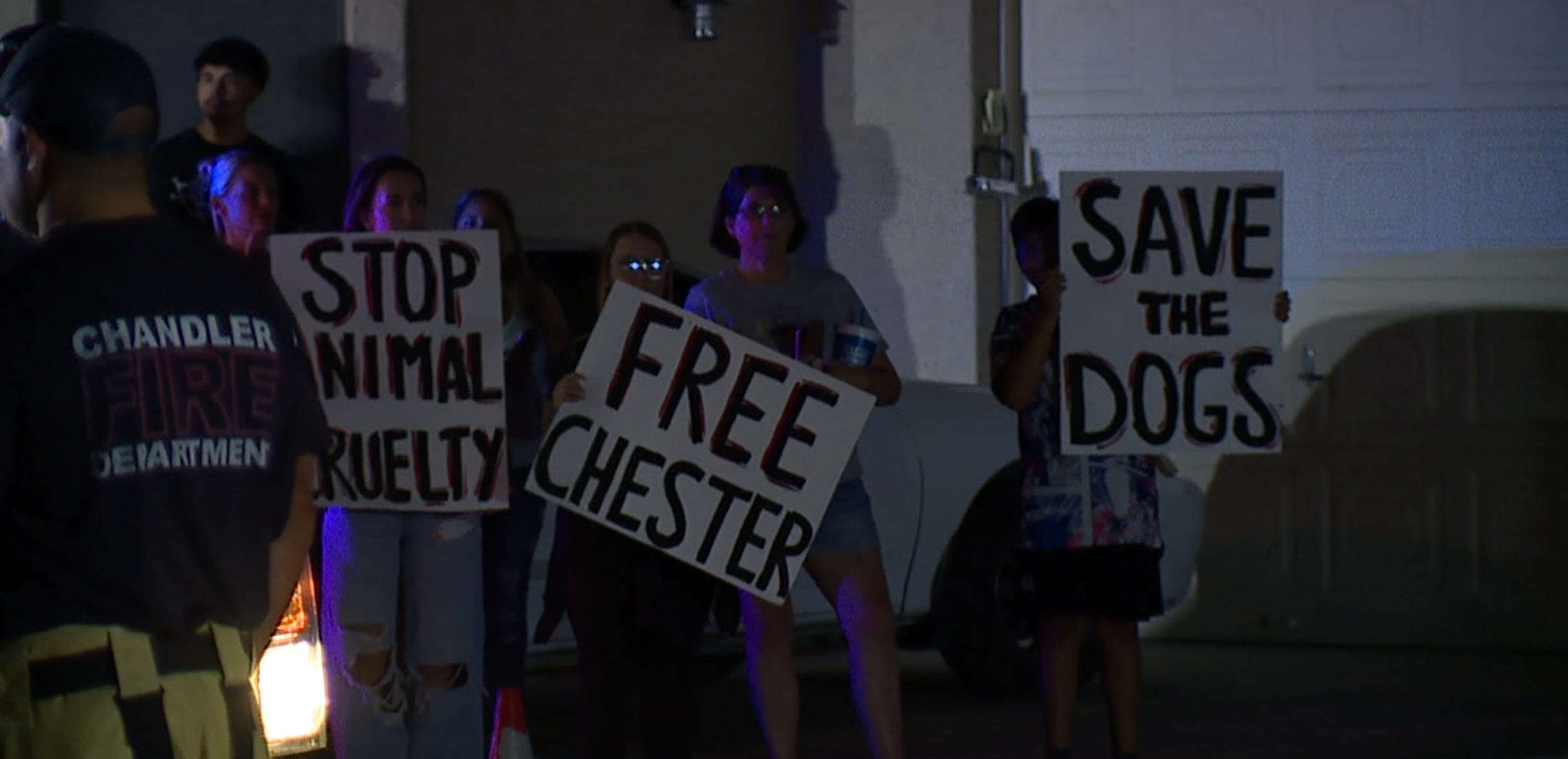 chandler animal rescue