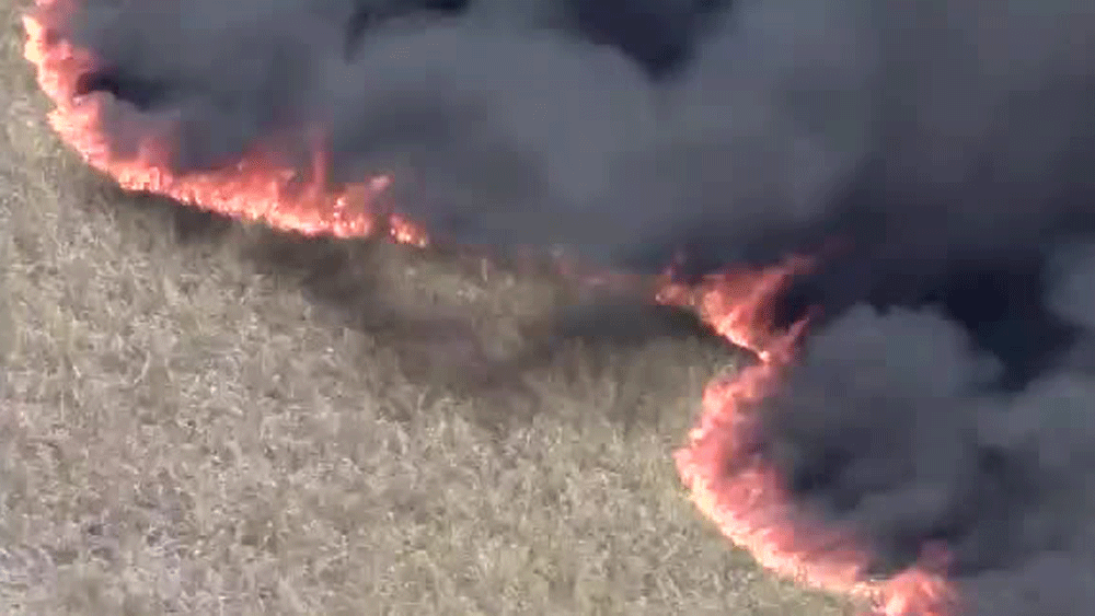 wptv-west-broward-brush-fire-.gif