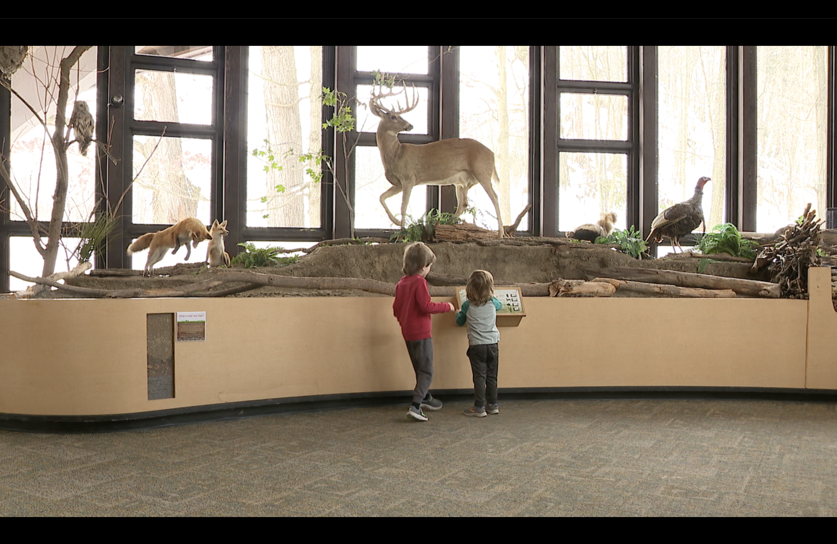 Two young brothers play together at the Rocky River Nature Center 