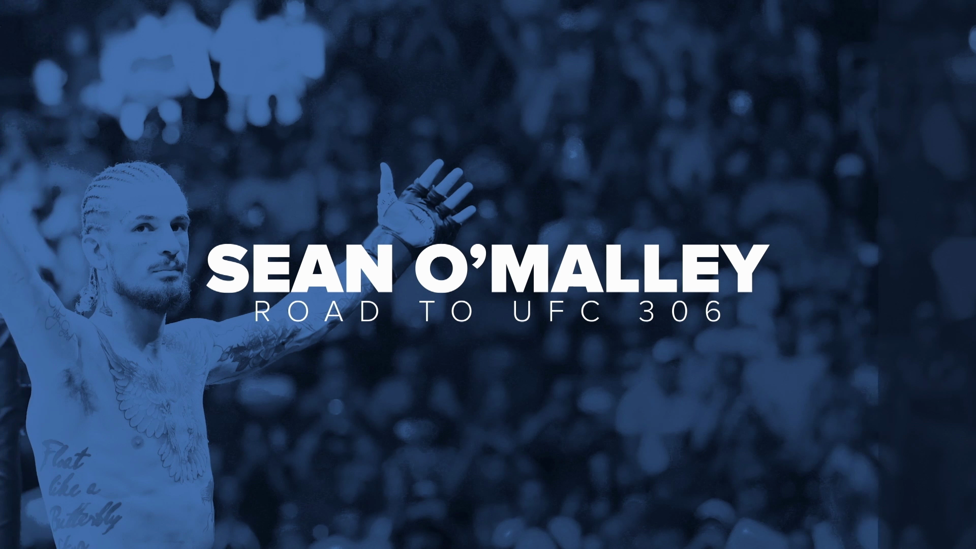 Sean O'Malley: Road to UFC 306