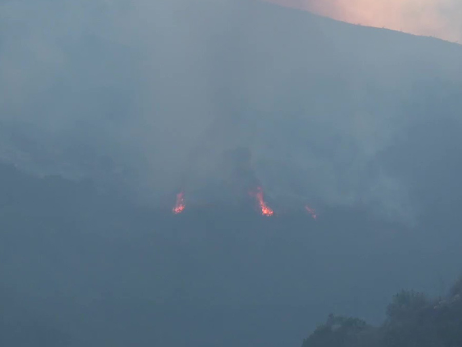 sage_fire_jamul_hill_112323.jpg