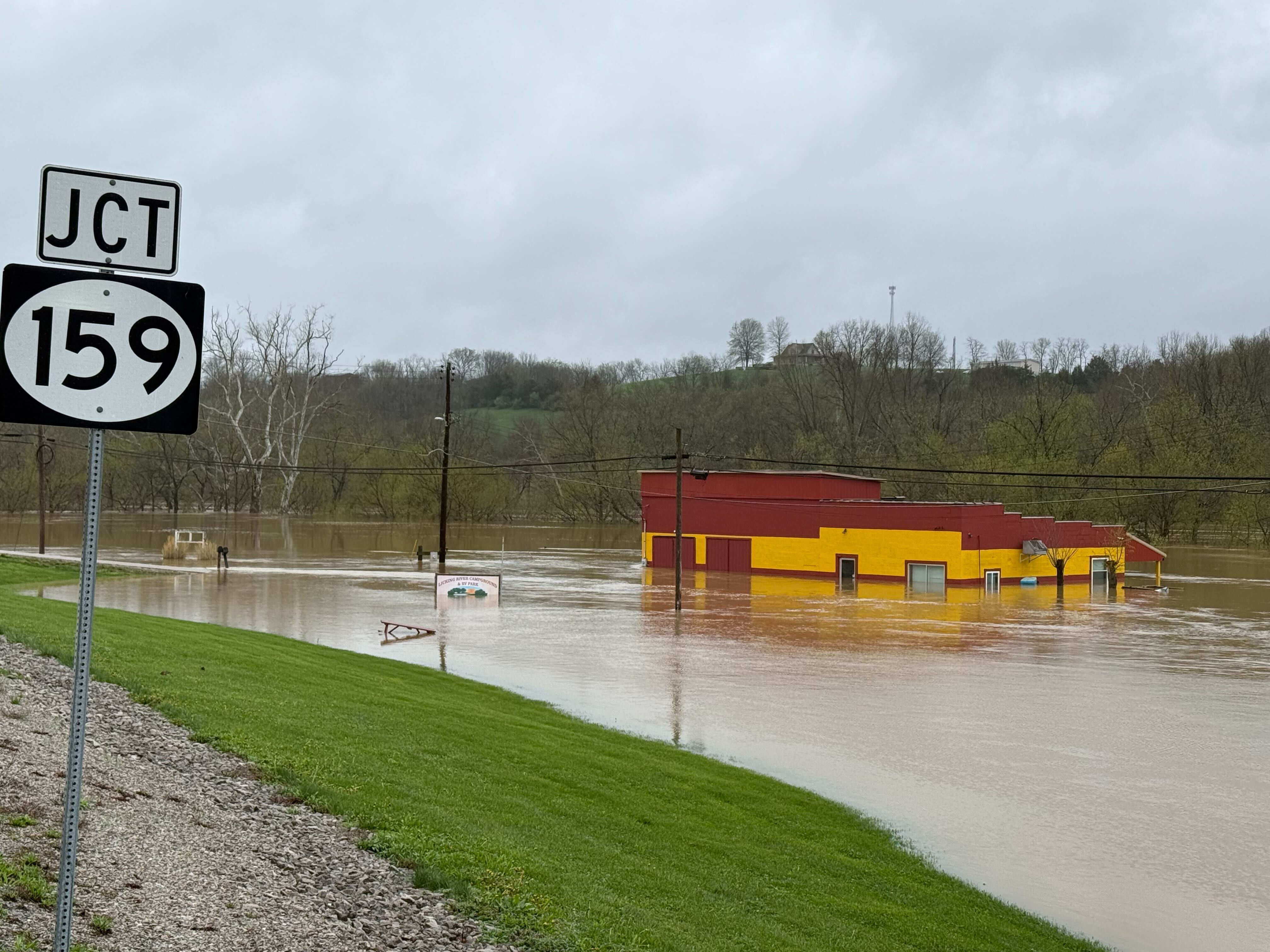 flood Fulmouth
