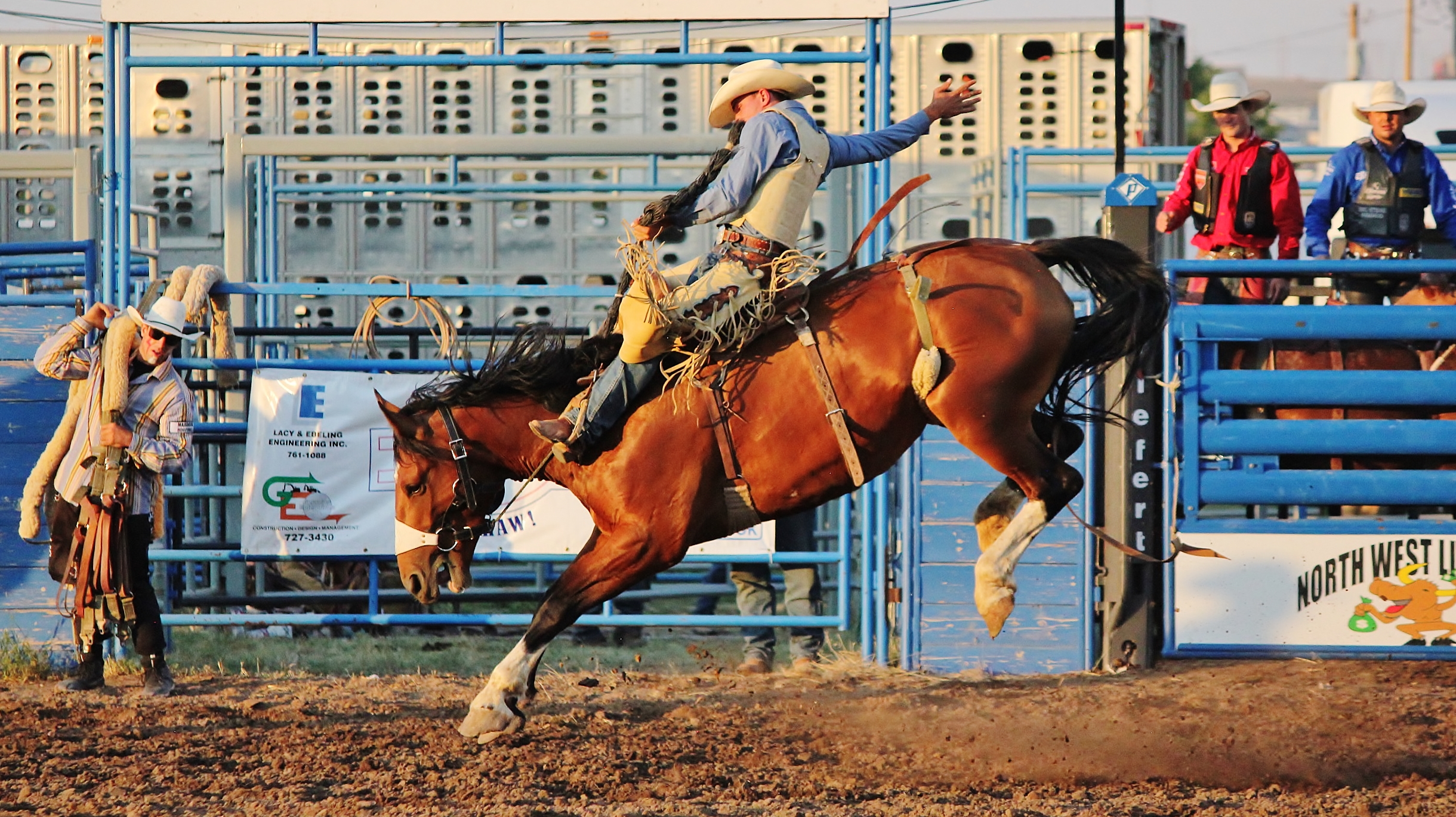 1.rodeo.jpg