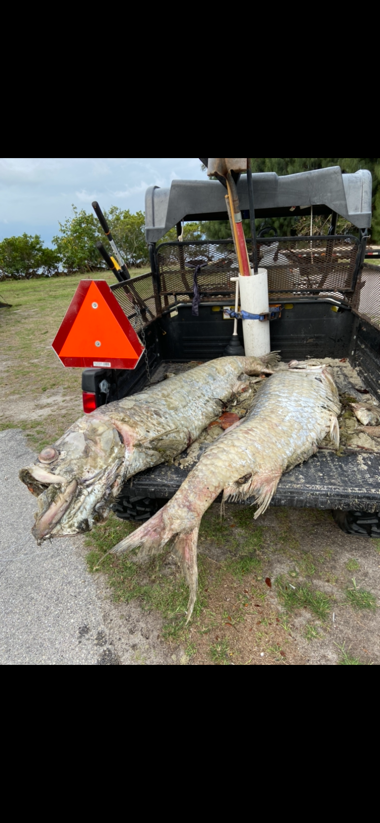 10,000 lbs. of dead fish removed from Charlotte County in two days.