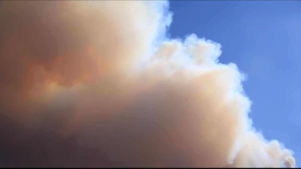 Roaring Lion Fire