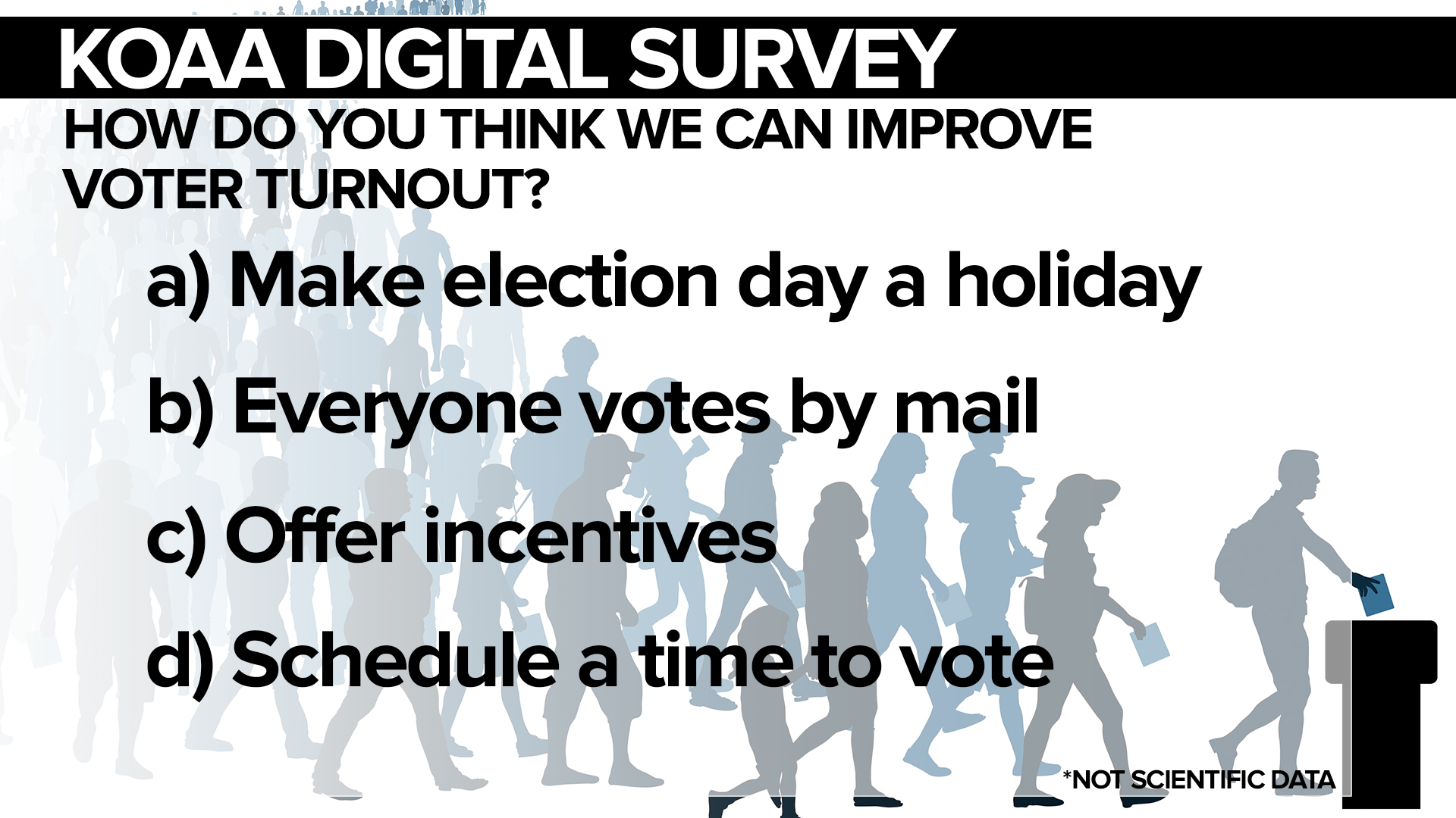 Voter turnout survey