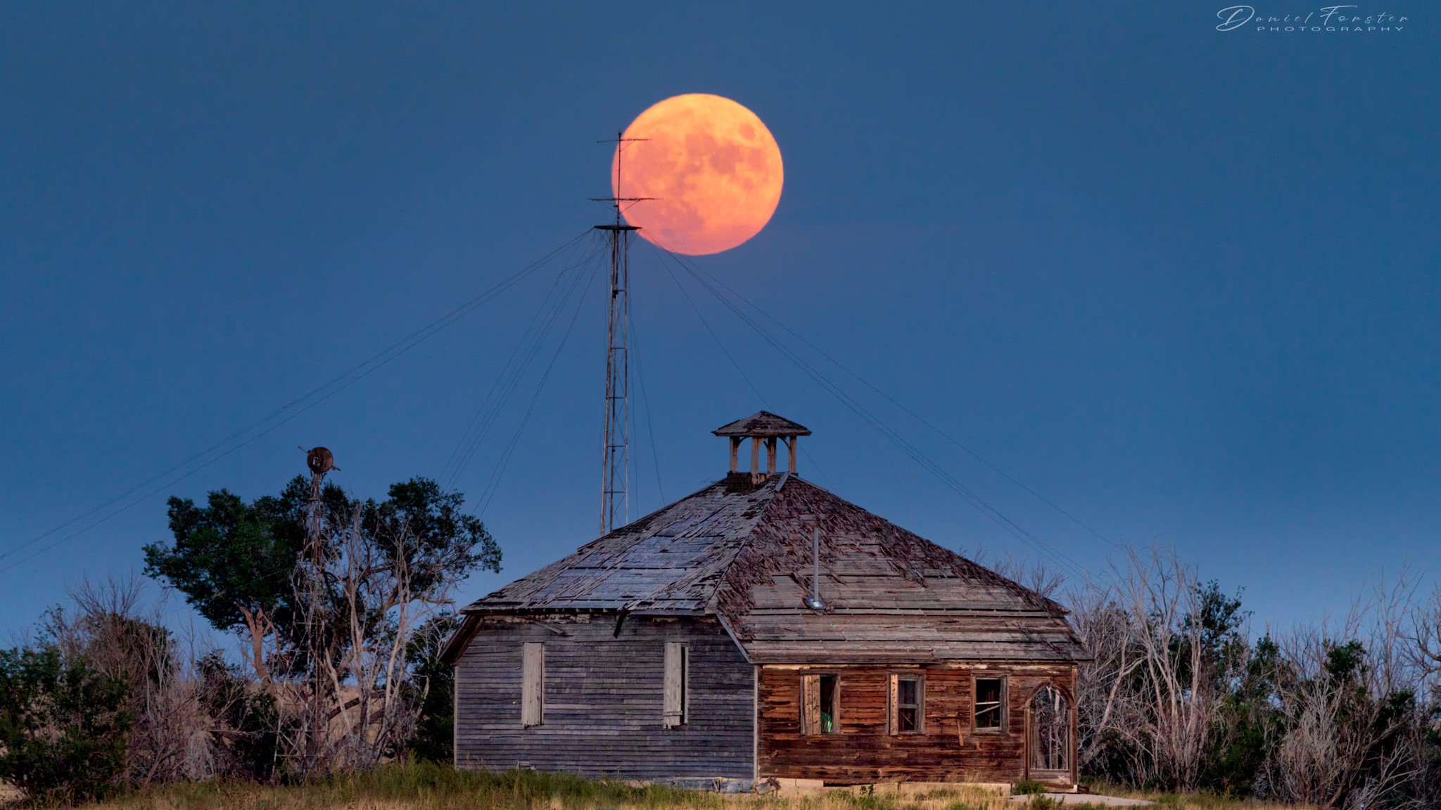 Daniel Forster August full moon