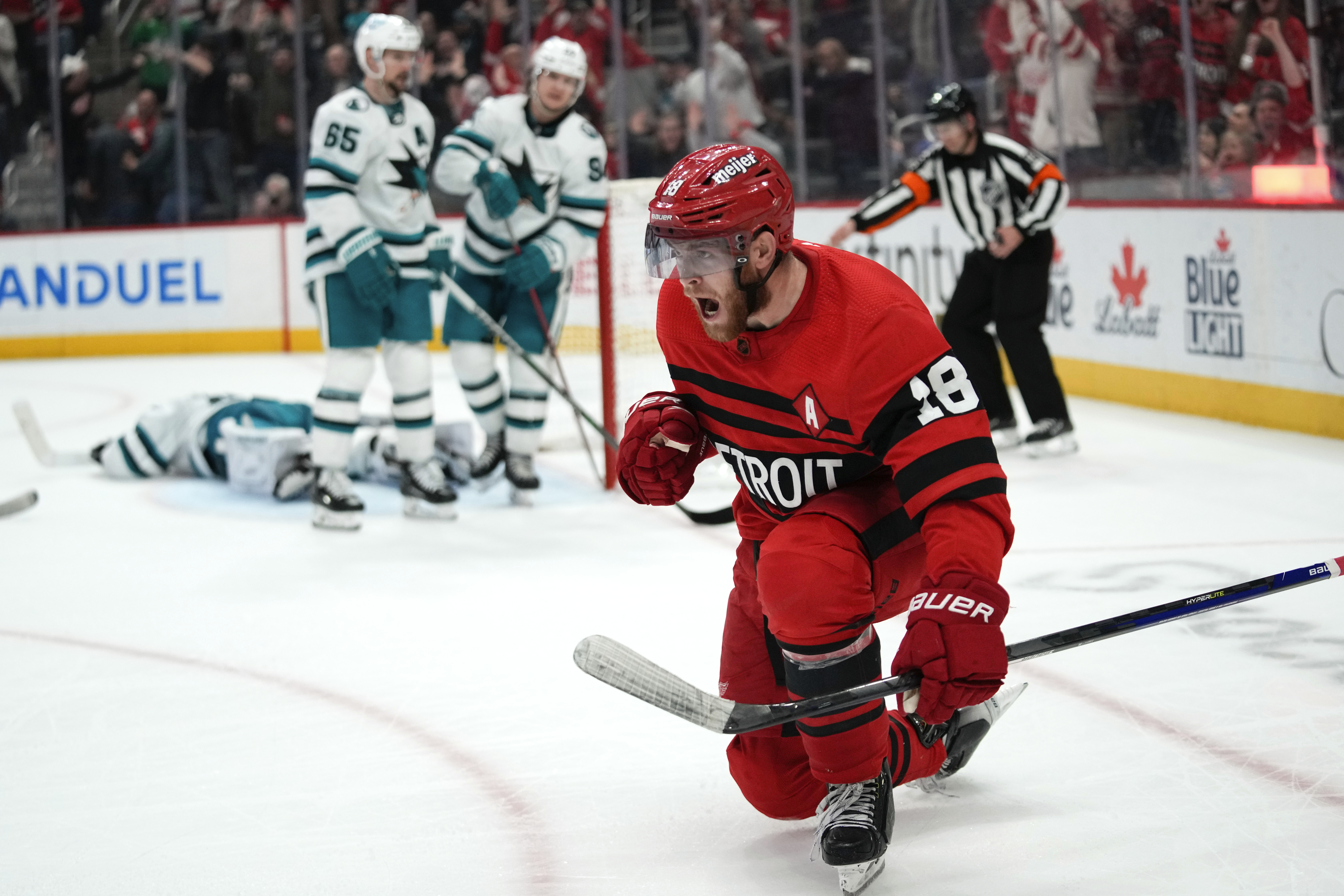 Sharks Red Wings Hockey