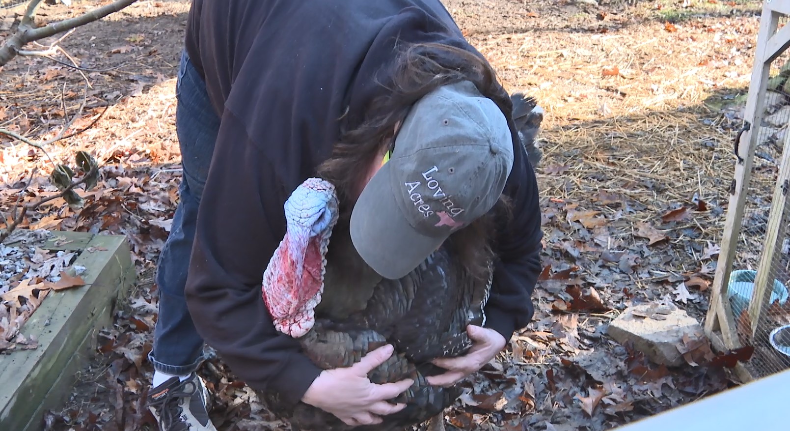 Loving Acres Chesterfield .jpg