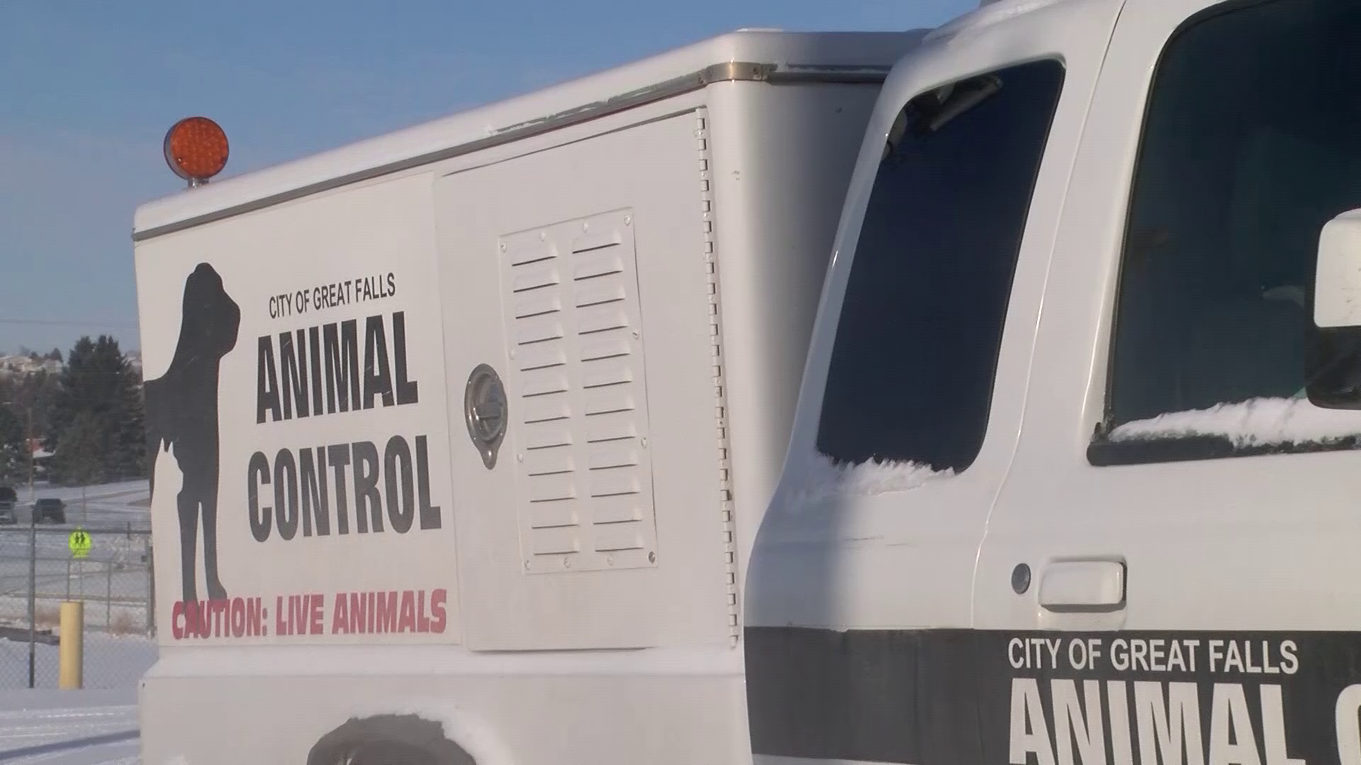Animal Control vehicle in Great Falls