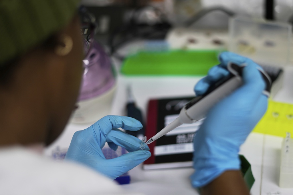 A laboratory technician Nozipho Mlotshwa works on samples at the Wits laboratory Antiviral Gene Therapy Research Unit, at University of the Witwatersrand Medical School, in Johannesburg, South Africa, Thursday, May 22, 2025.
