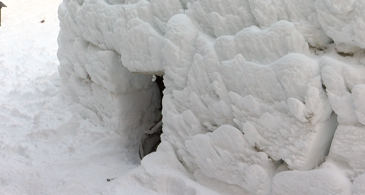 Screen Shot 2022-12-24 at 4.31.52 PM.png