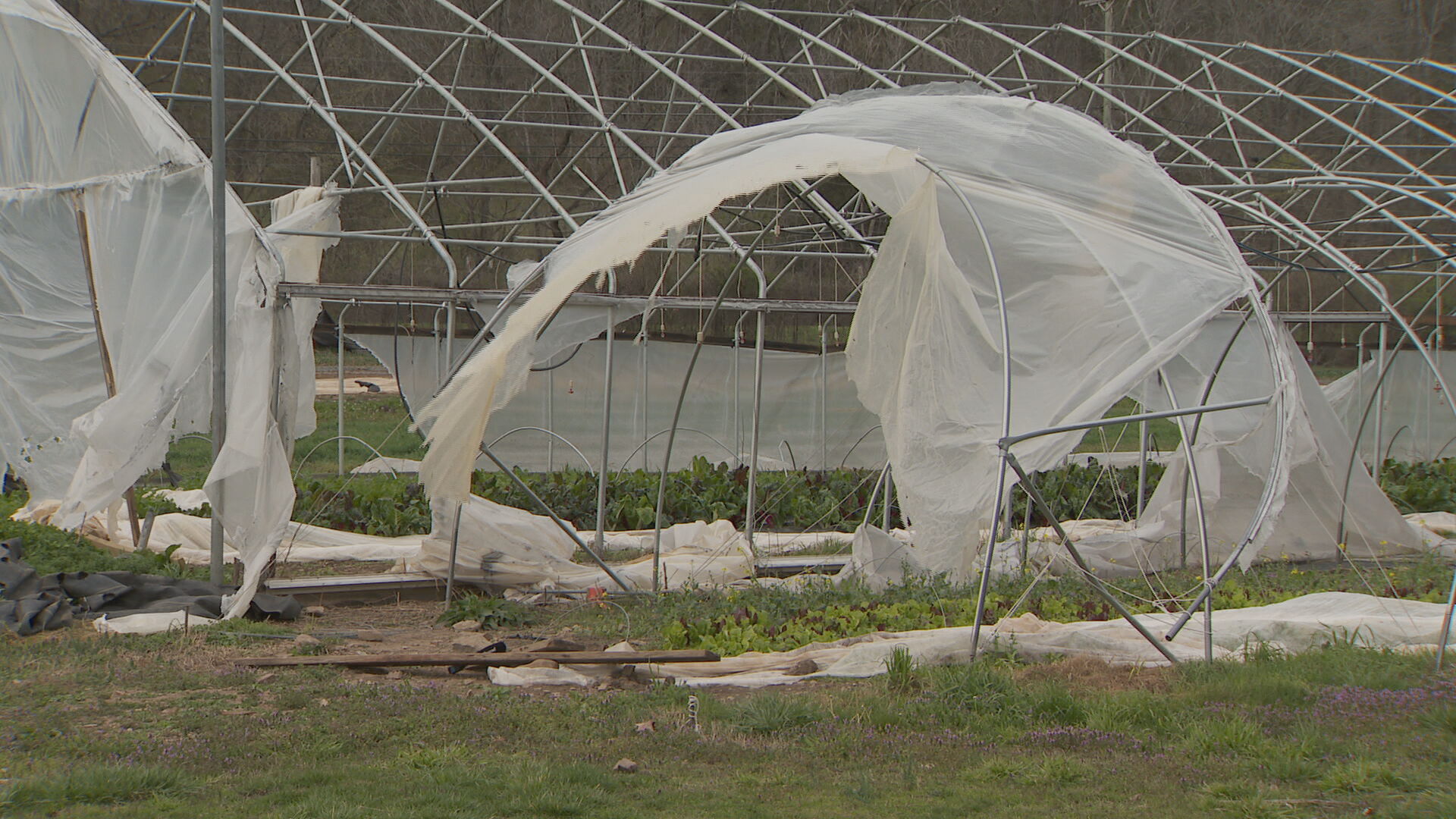 wind damage on farms