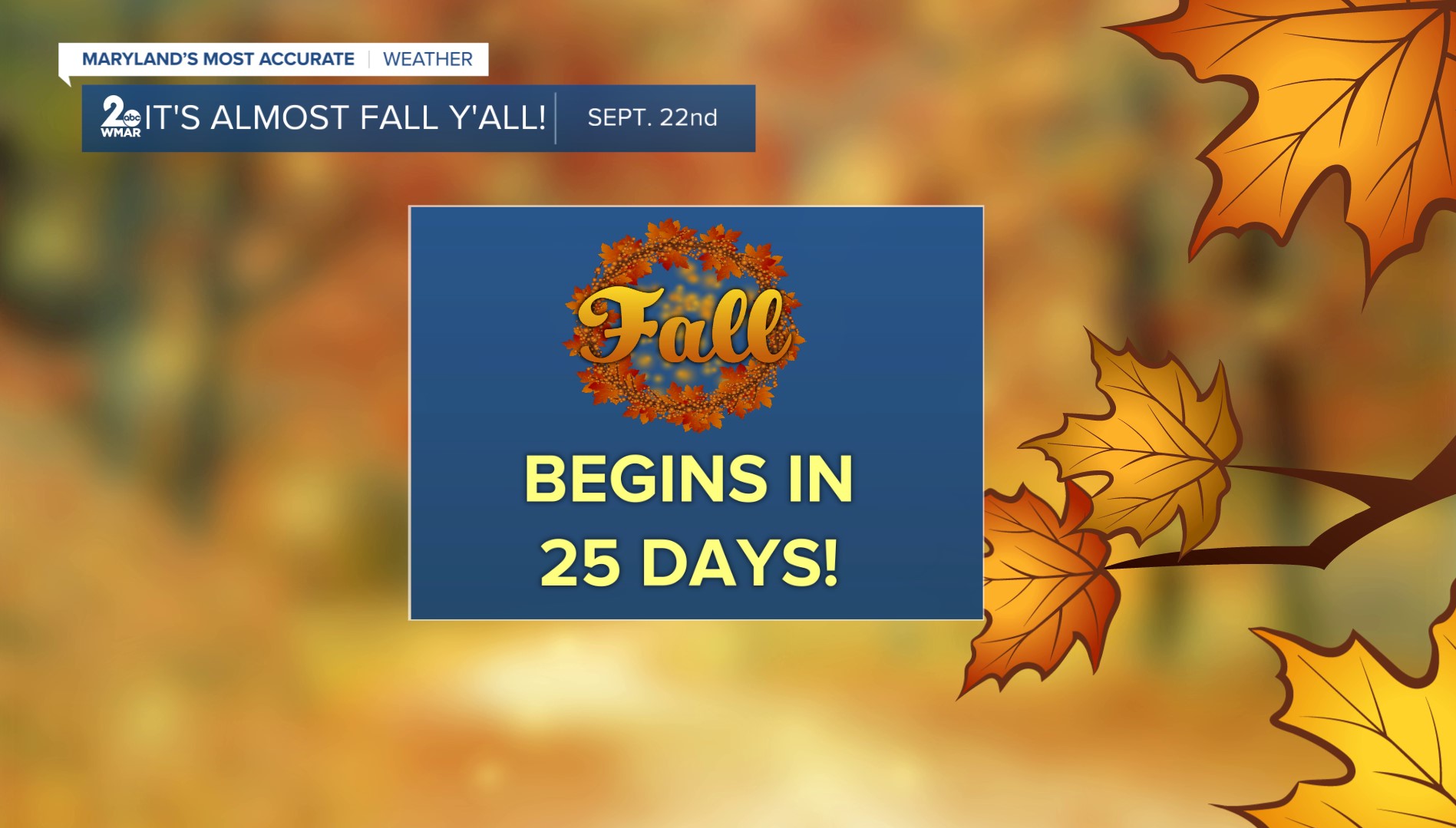 fall.jpg