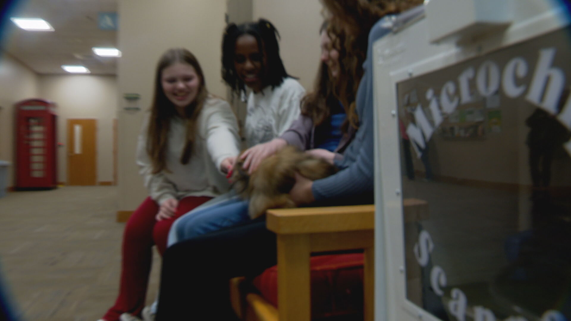 Girl Scouts Dog Microchips_frame_7141.jpeg